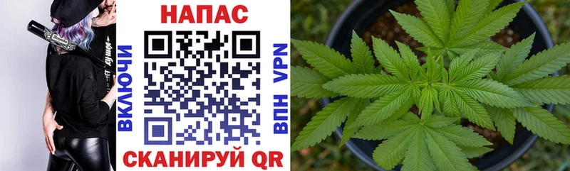 Наркотические вещества Павловская Метадон  Мефедрон  Гашиш  Каннабис  Alpha-PVP 