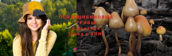 2c-b Алексеевка