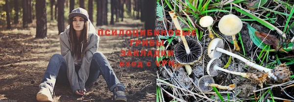 Альфа ПВП Алзамай