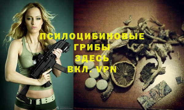 Альфа ПВП Алзамай