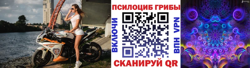 Галлюциногенные грибы мицелий Павловская